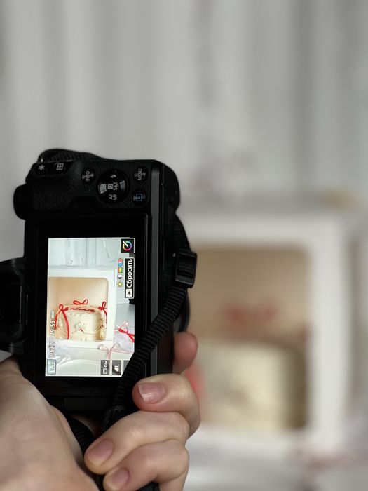 Фотоаппарат Canon EOS M50