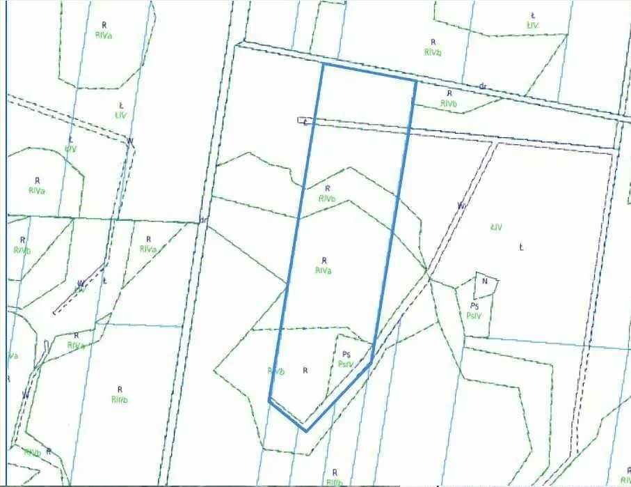 Działka rolna o powierzchni 2,37 ha Kulik-Kolonia - Widok 2