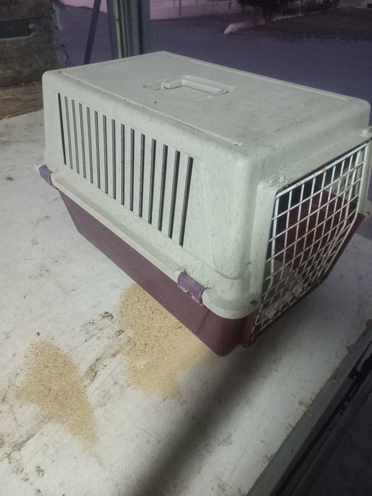 Transportadora de cães e gatos