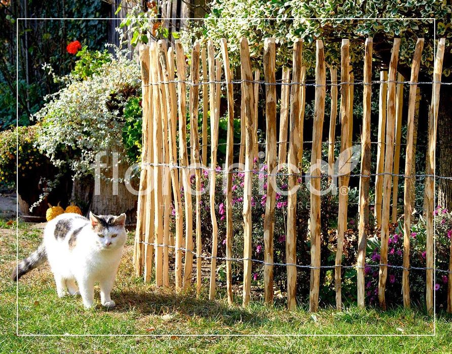 Leszczynowy płot ogrodowy, impregnowany, sztachetowy - producent !