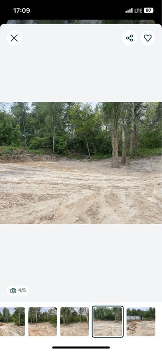 Земельеа лілянка Віта Поштова 8 с.