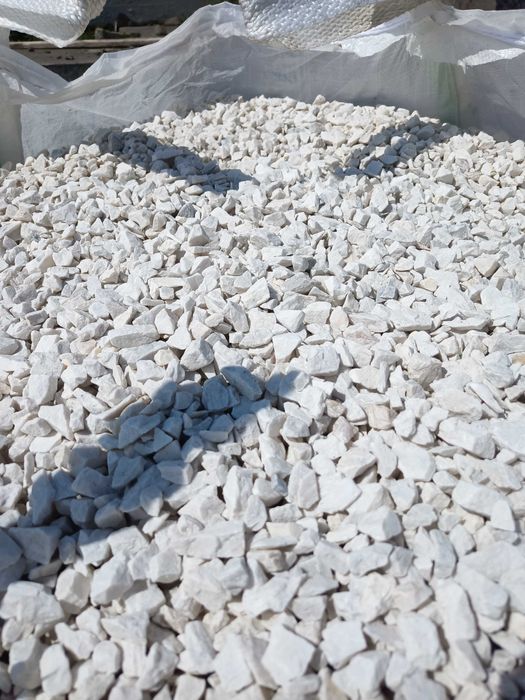 Grys biała marianna