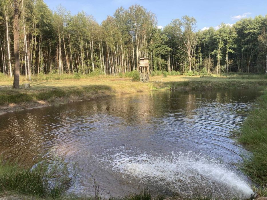 Działka rekreacyjna w Irenie