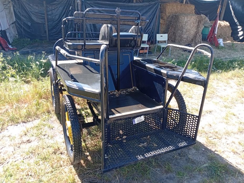 Maratona charrete para cavalo