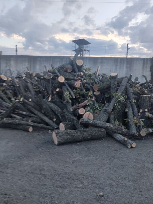 Продам дрова твердых/мешаных пород опт/розница