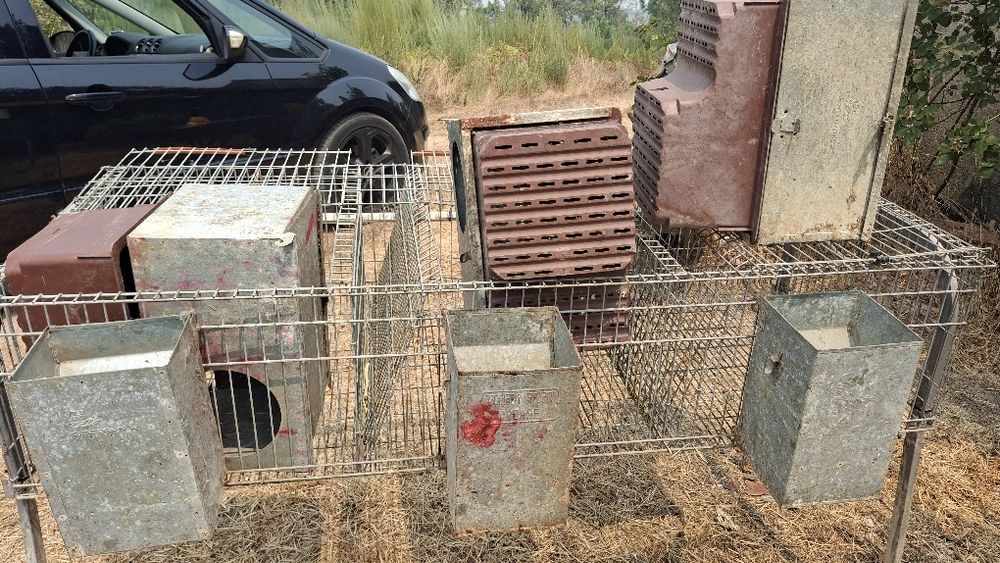 Coelheiras,  gaiolas coelhos