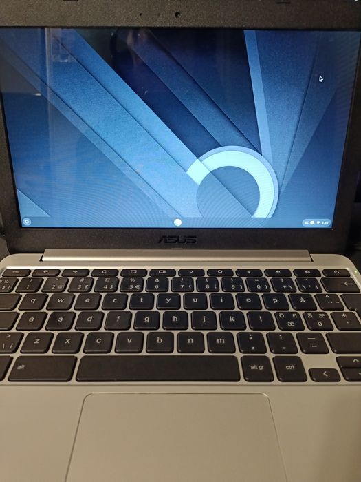 Asus chromebook C201P