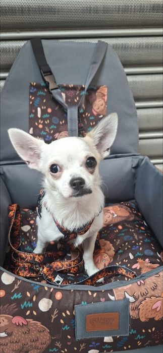 ZAGINIONY! pomóż odnaleźć