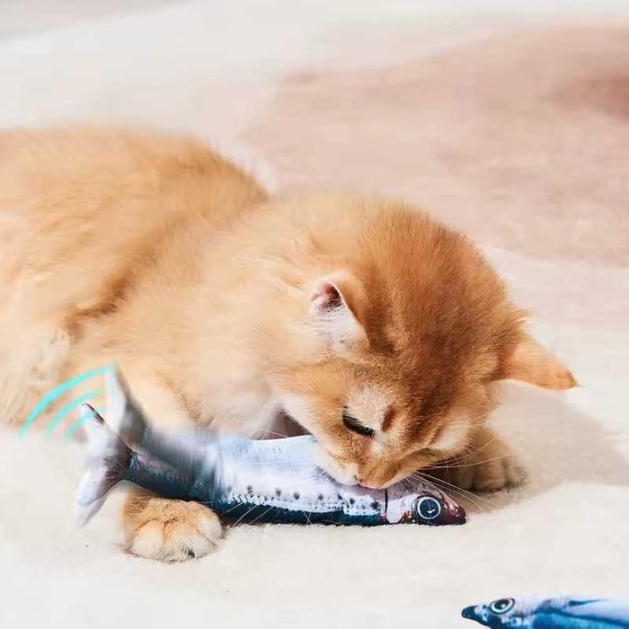 Електрична інтерактивна рибка для кота, іграшка з рухом Petgravity