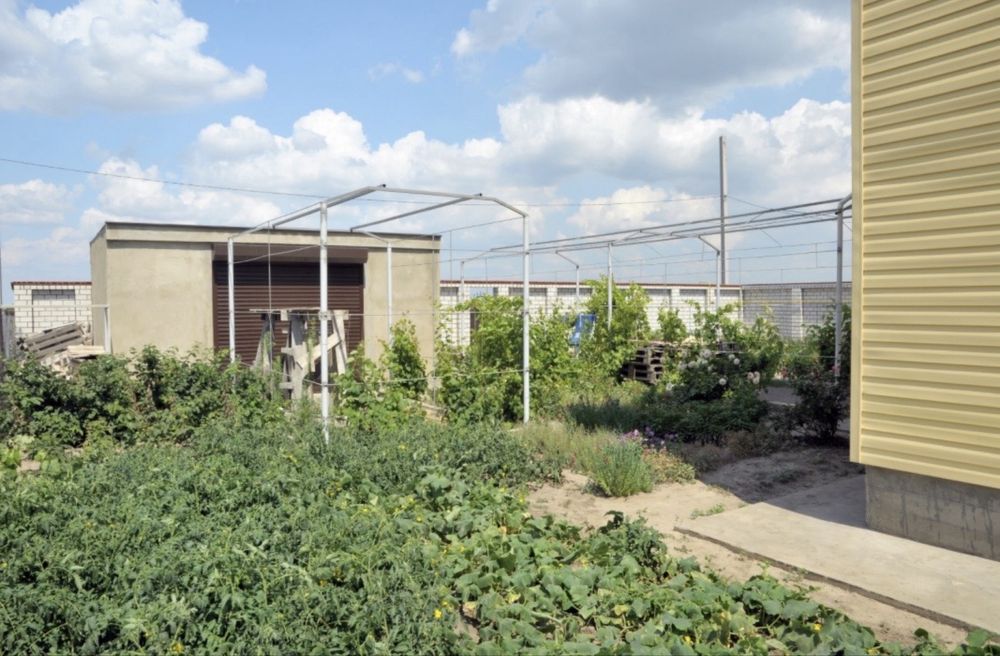 Будинок біля моря, Нова Дофінівка