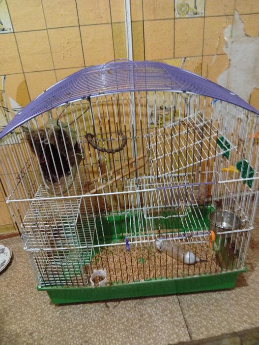Клетка для попугаев