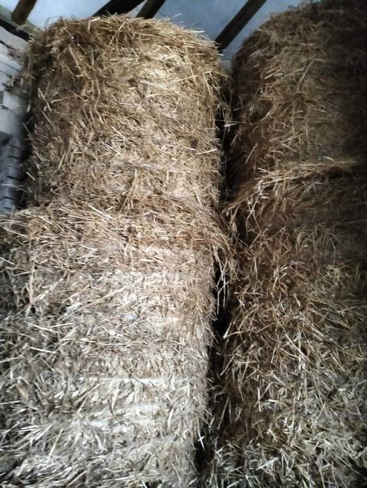 Sprzedam Słomę ...