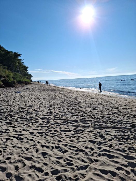 Działka nad morzem Pleśna k. Ustronia Morskiego Sarbinowo Niechorze 200m do wydm i lasku a za nimi plaża i morze