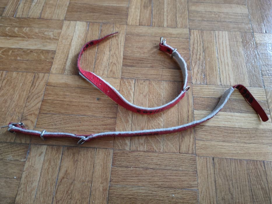 Dwie czerwone obroże