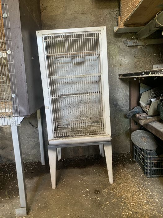 Gaiola para venda ou troca