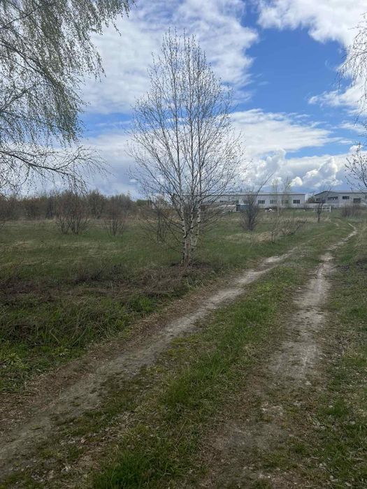 Продам ділянку в с Нові Петрівці – pohled 2