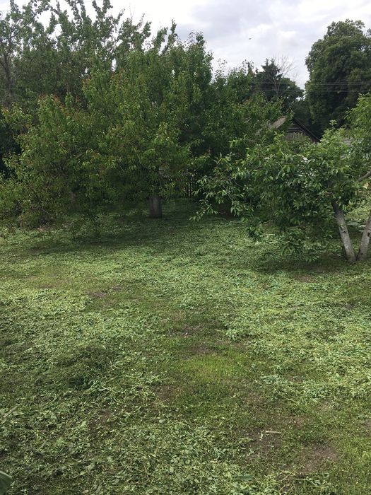 Продам будинок в центрі міста