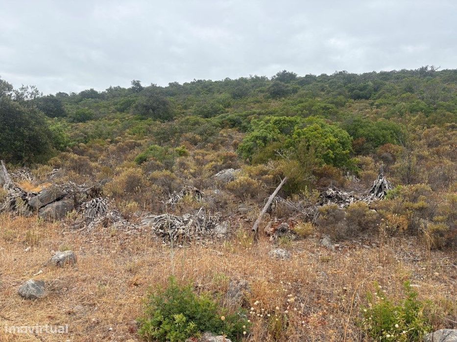 Terreno Agrícola de 10.900 m² entre Salir e Tôr, Algarve — Querença, Tôr E Benafim, Faro
