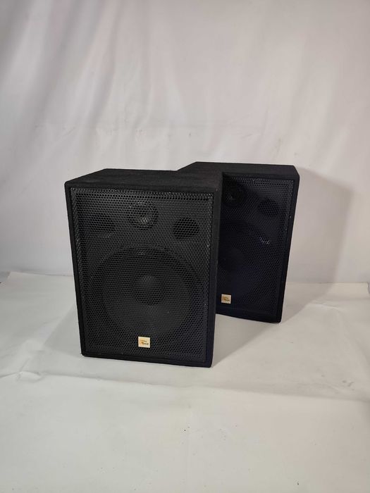 Kolumna Głosnikowa Estradowa T.BOX PA15/200 wat