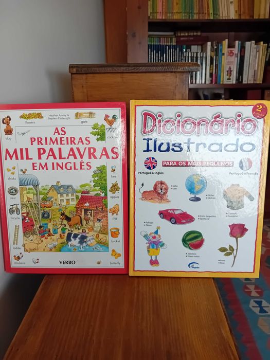 Livro Dicionário Inglês