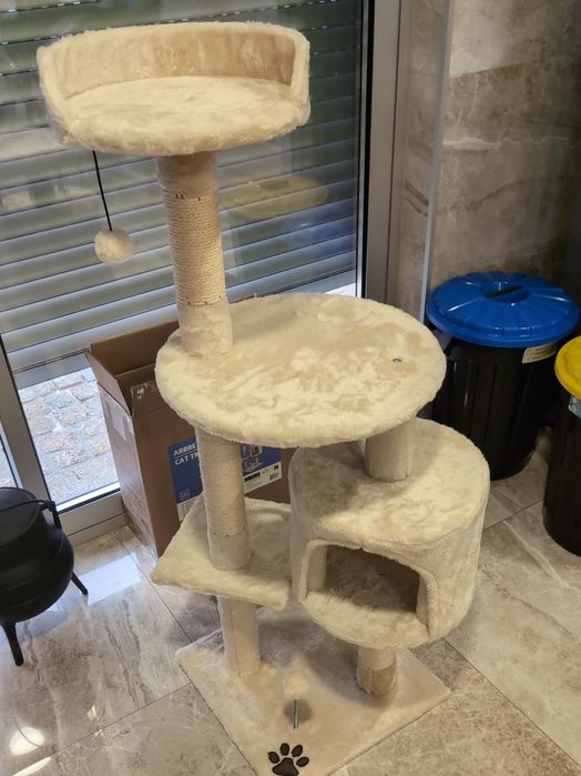 Árvore arranhador gatos