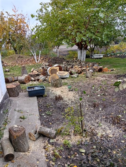 Зрізання дерев, порізка на дрова, розчистка