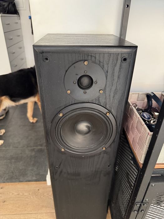 Głośniki Sony Brooklands edition 176e