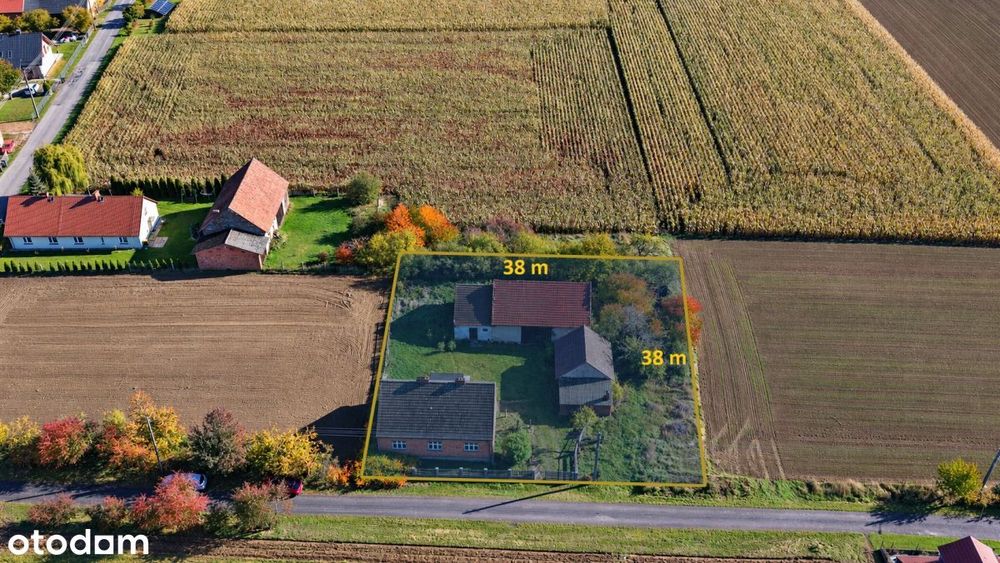 Dom przy lesie|spokojna okolica|piękne widoki