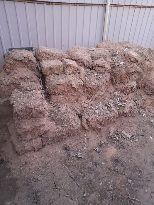 Отдам даром ломпач