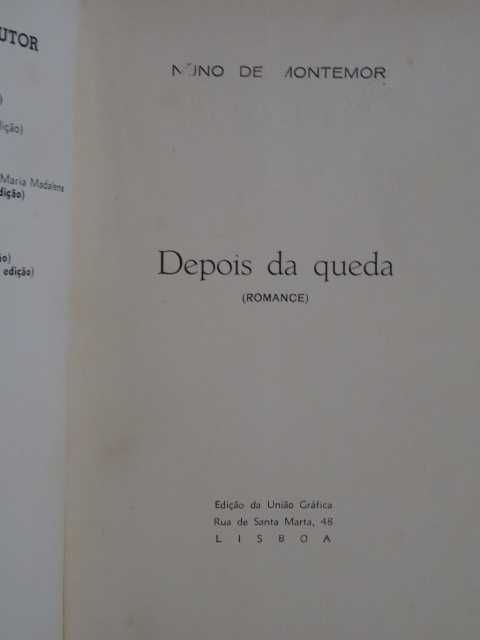 Depois da Queda de Nuno de Montemor