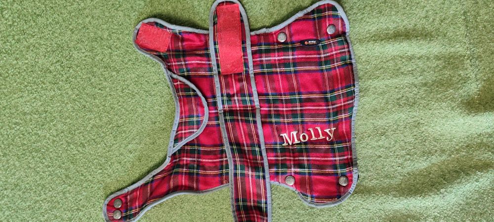 Одежда для собак