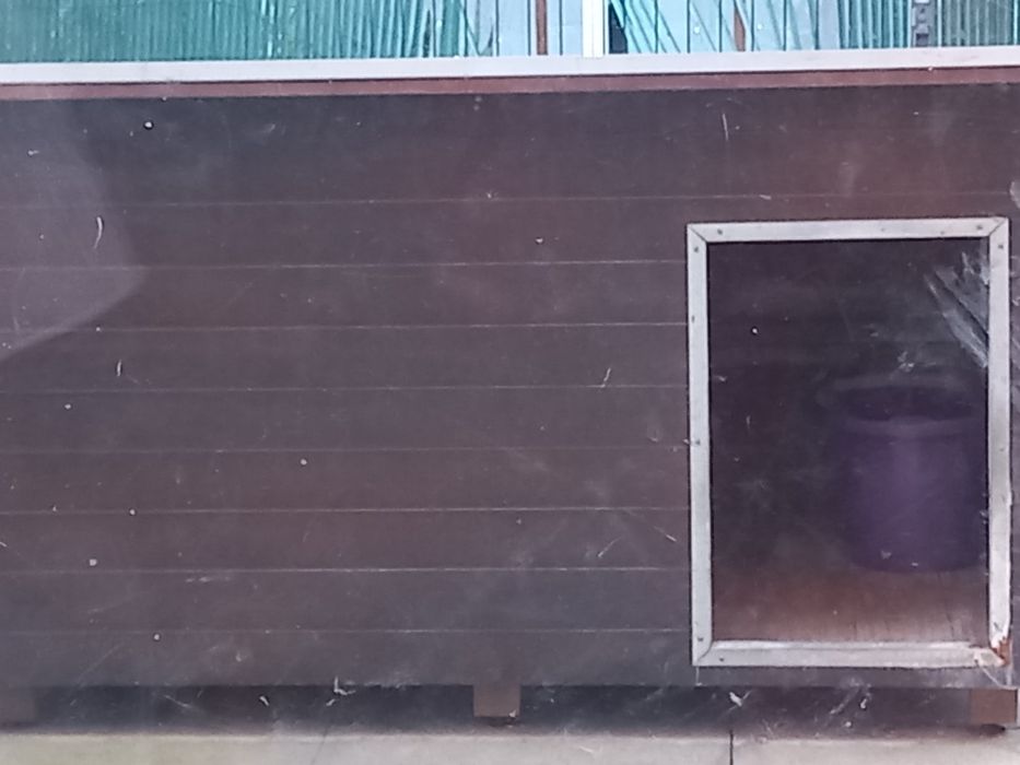 Casota de cão em otimo estado p1