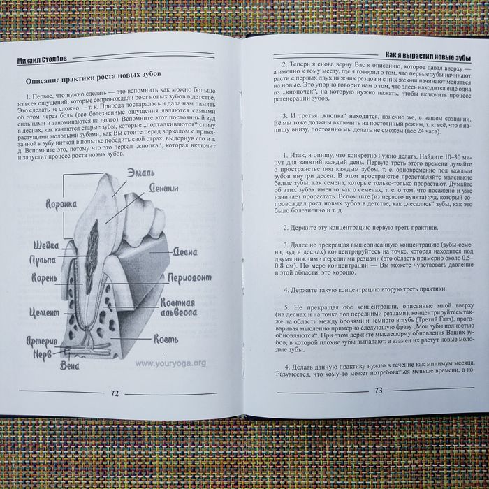 Как я вырастил новые зубы Михаил Столбов
Автор: Михаил Столбов