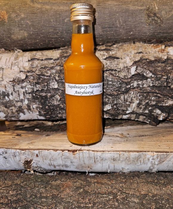 Mikstura Najsilniejszy naturalny antybiotyk 200ml