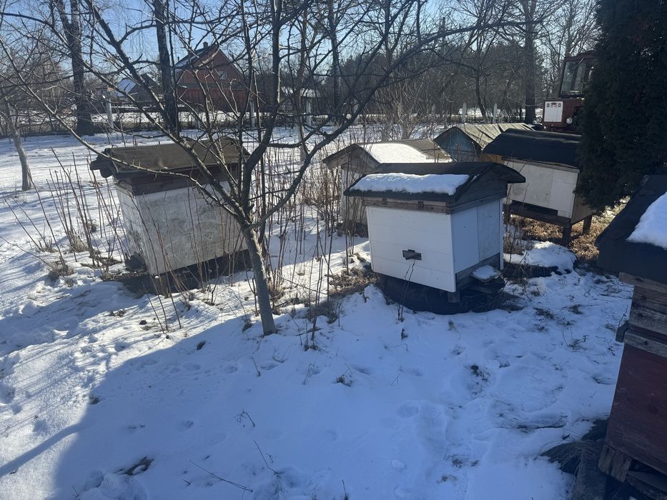 Вулики, вулик Бджолині хатки.