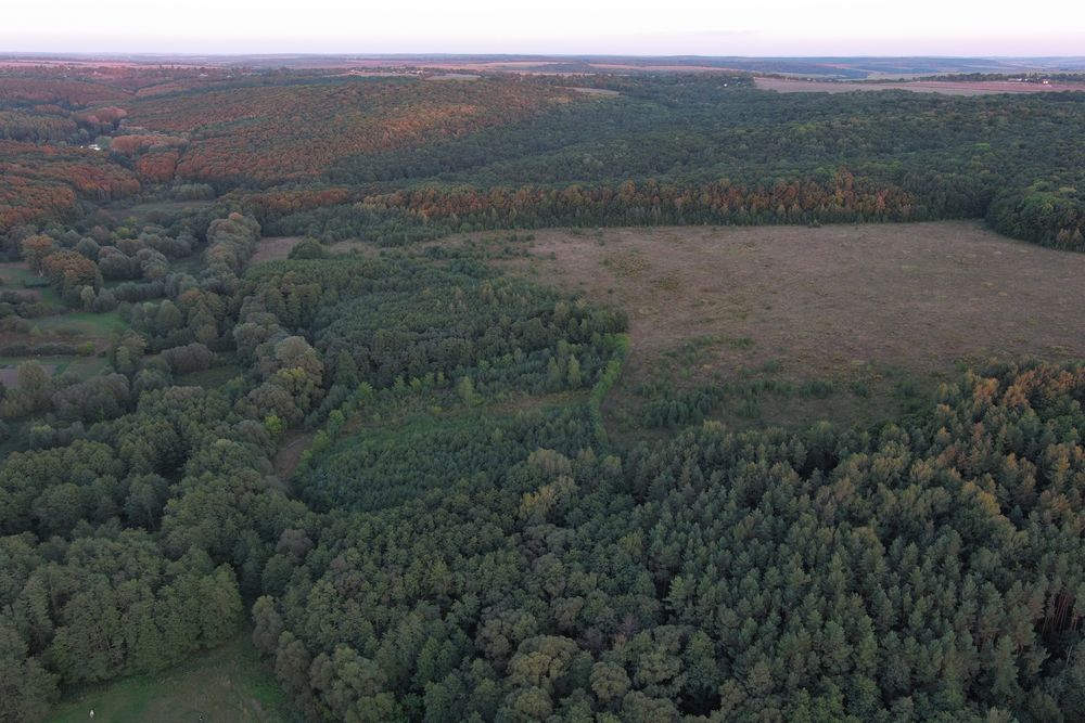 Фото ділянки
