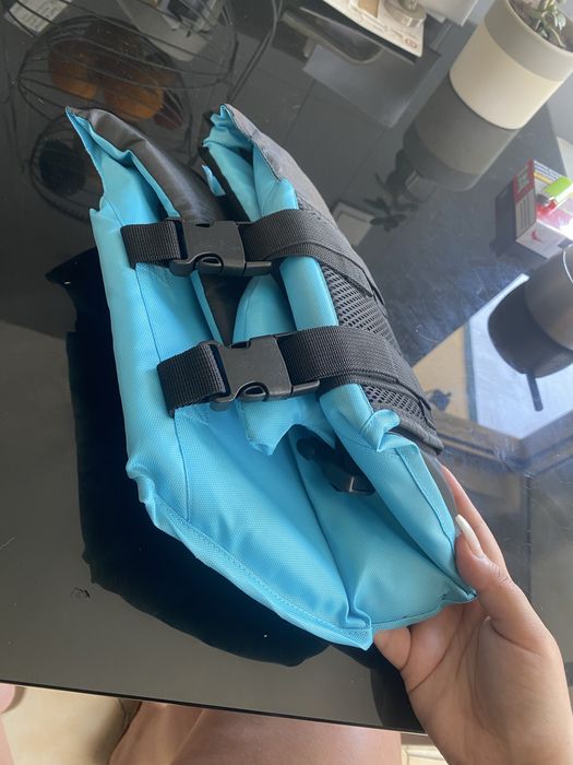 Bóia azul para cão