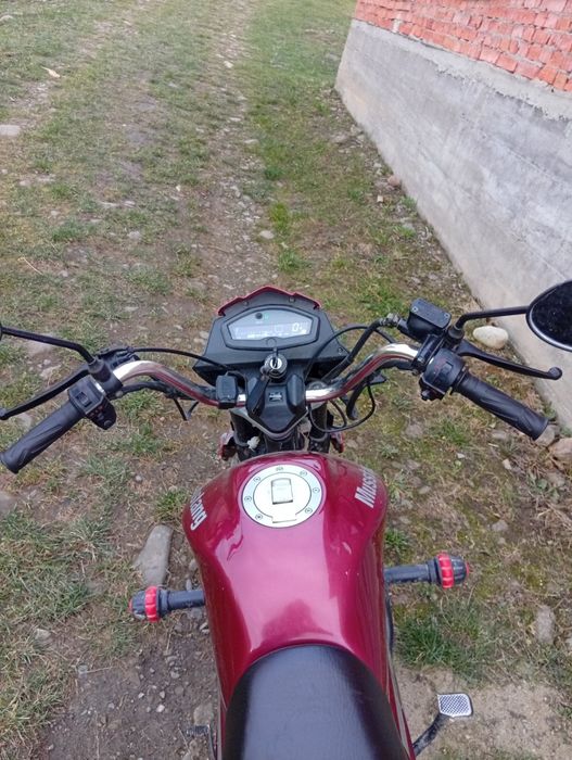 musstang Fit 2 mt-125