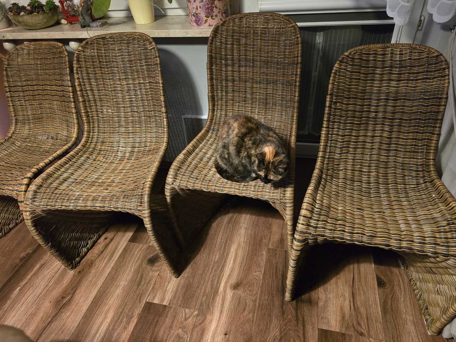 Krzesło/fotel naturalny rattan 4 sztuki *rezerwacja*