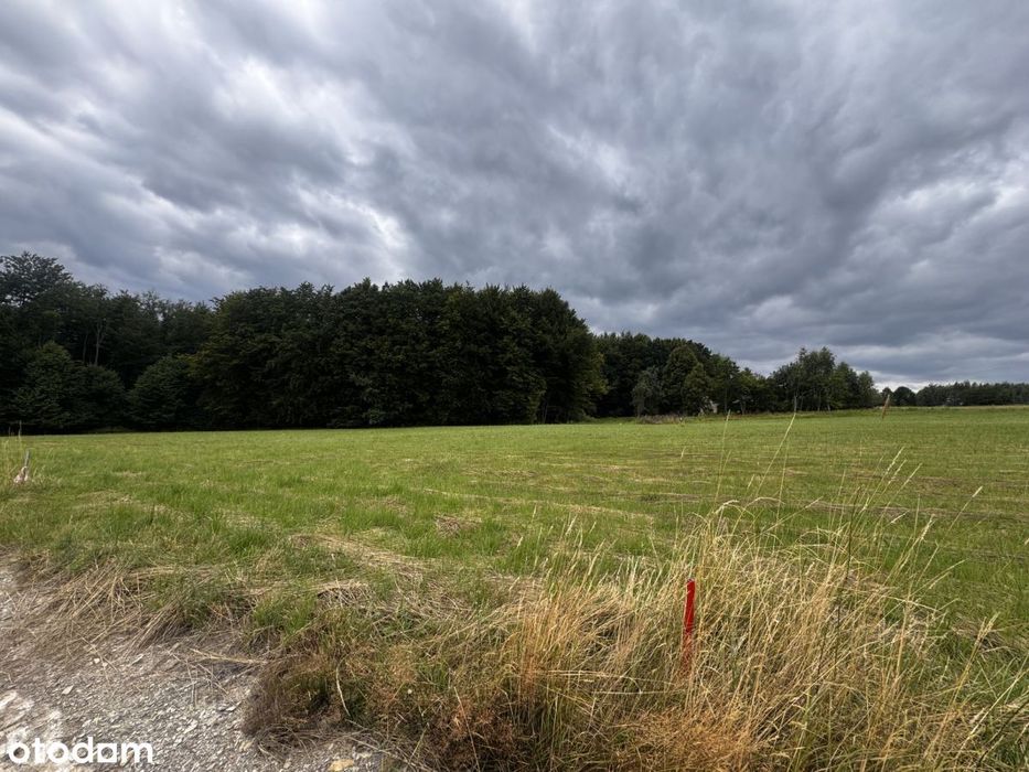 Działka 24,71 ar/ WZ / Połomia - Widok 4