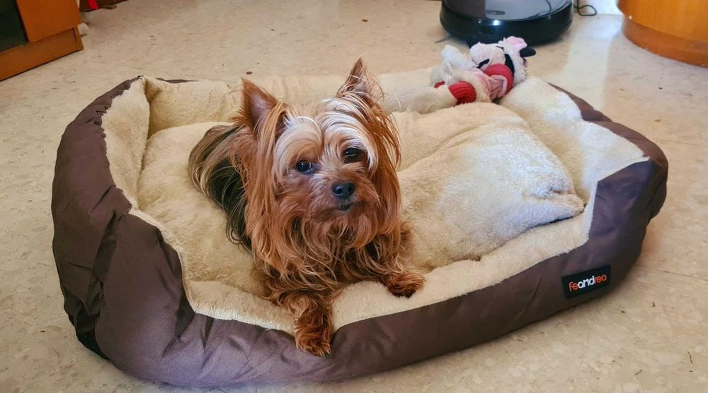 Legowisko dla psa kota posłanie poduszka zwierzęta pies kot NOWE