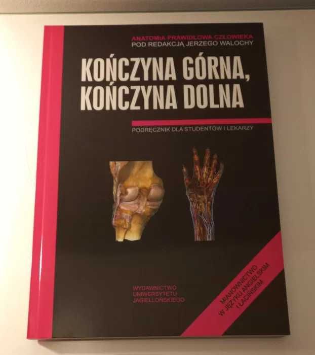 Anatomia prawidłowa człowieka. Kończyna górna, kończyna dolna. (NOWA)