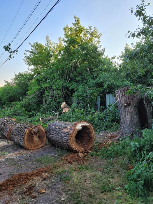Спилювання,видалення дерев в будь якому місці,будь якої складності!