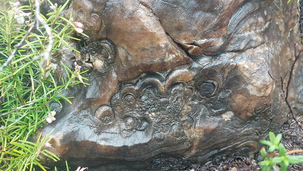 Pedra de vidro com 1 metro por 1 metro, com inscrições da natureza.