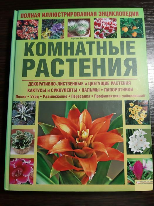 Комнатные растения