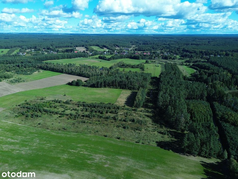 Grunt rolny 3,49 ha – rozległy teren w otoczeniu lasów i zieleni - Widok 4