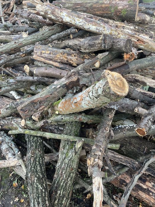 Drewno /Opał/ Dąb/Sosna/brzoza/Topola//mieszane/transport