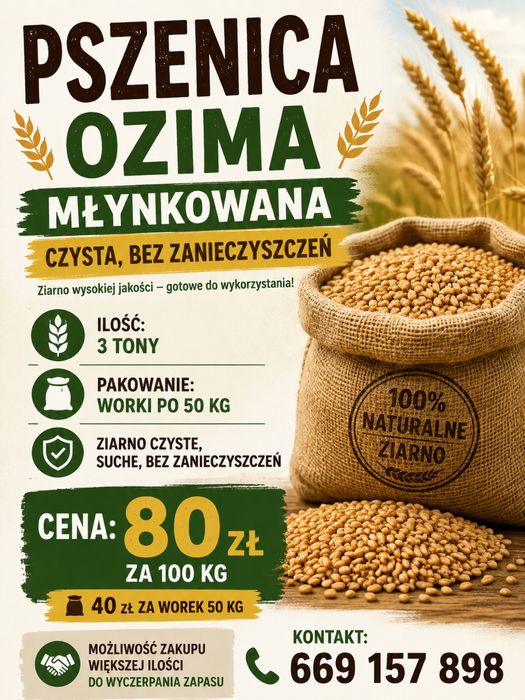 Sprzedam pszenicę ozimą