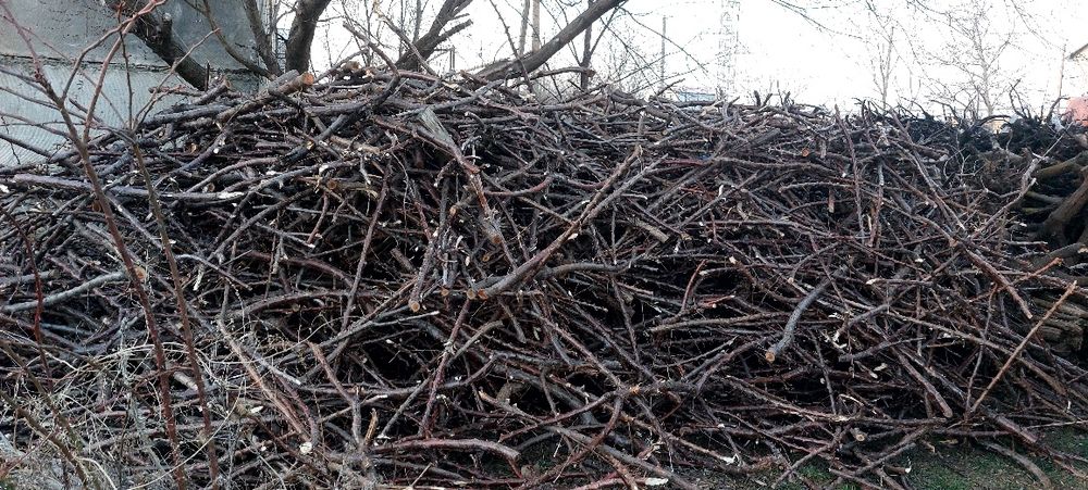 Дрова. Дрова фруктовые, шашлычные.Тополь, акація, абрикос