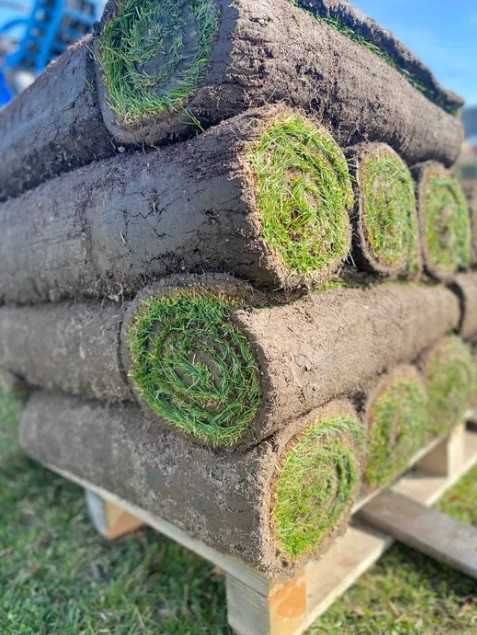 Trawa z rolki Trawnik Producent PREMIUM